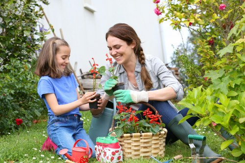 Professional lawn mower cutting grass in Cleaners N5